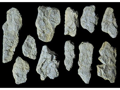 WOOC1231 Rock form Surface Rocks
