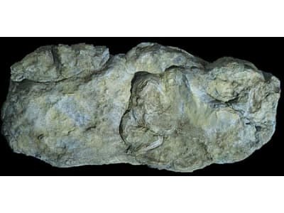 WOOC1242 Rock form Washed Rock