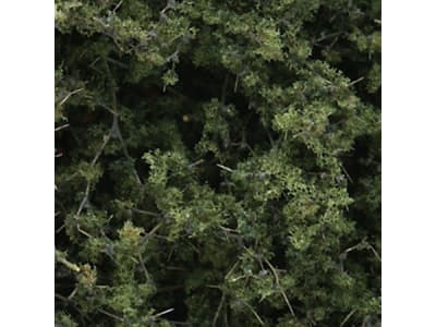 WOOF1131 Fine Leaf Foliage Medium Green / 75 cu. in.