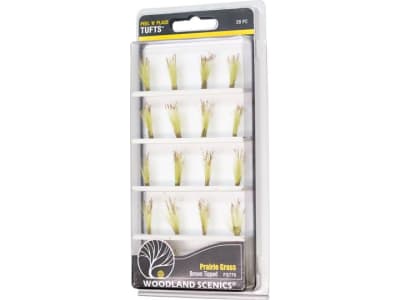 WOOFS779 Brown Tipped Prairie Grass