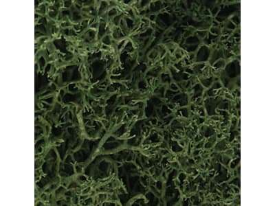 WOOL163 Lichen Bag Medium Green / 82 cu. in.