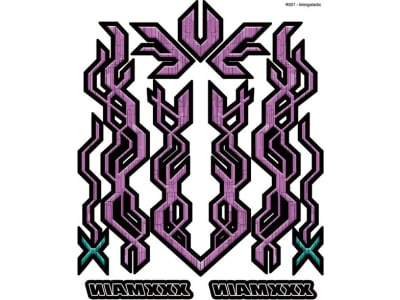 XXXR021 Intergalactic Internal Graphic