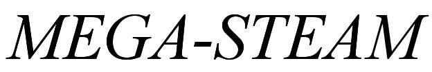 JTs Mega-Steam LLC logo