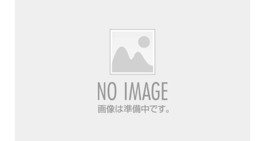 SFスマレジ大伍販売店舗２a