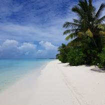 Flitterwochen auf den Malediven Galerie - Postkartenmotiv einsamer Strand auf Kandima