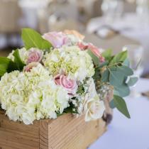 Frühlingshochzeit - Hochzeit im Frühling -  Ellen LeRoy Photography