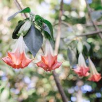 Real Wedding - Idyllische Hochzeit mit tropischem Flair - 02