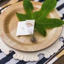 Styled Shoot - Grüne Hochzeit Nachhaltig Heiraten Ökologische Hochzeitsinspiration - Dragon Studio5