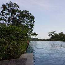 Flitterwochen auf Bali Galerie - Alila Ubud - Infinity Pool