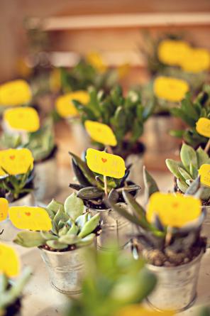 Real Wedding - Sonnige Hochzeit unter Palmen - 26