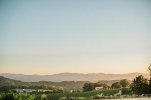 Real Wedding - Beeindruckende Hochzeit auf dem kalifornischen Weingut - 35