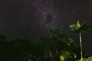 Real Wedding - Glamouröse Hochzeit unter Palmen - 44