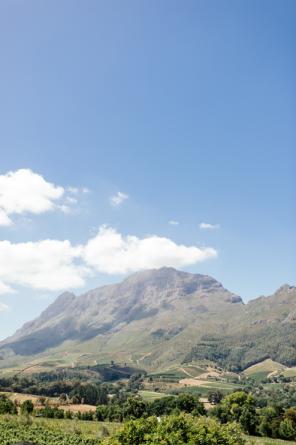 Real Wedding - Sommerhochzeit im Park - 01