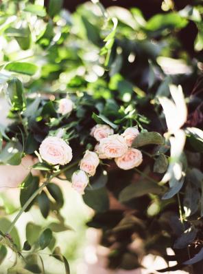 Real Wedding - Festliche Gartenhochzeit - 23