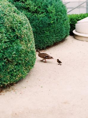 Real Wedding - Standesamtliche Hochzeit in Wien - 20