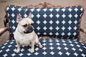 Real Wedding - Hinreißende Hochzeit mit Hund - Christie Graham Photography (12)