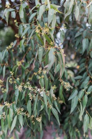 Real Weddings - Hochzeit mit Babybauch - 12
