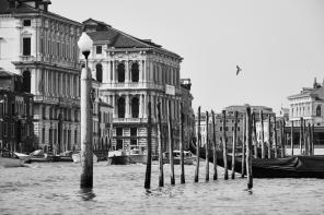Real Wedding - Elina und Amirs glamouröse Hochzeit in Venedig  - 23
