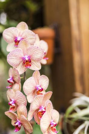 Styled Shoot - Grüne Hochzeit Nachhaltig Heiraten Ökologische Hochzeitsinspiration - Dragon Studio7