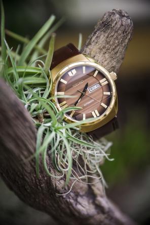 Styled Shoot - Grüne Hochzeit Nachhaltig Heiraten Ökologische Hochzeitsinspiration - Dragon Studio30