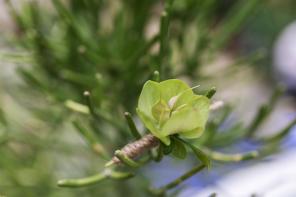 Styled Shoot - Grüne Hochzeit Nachhaltig Heiraten Ökologische Hochzeitsinspiration - Dragon Studio58