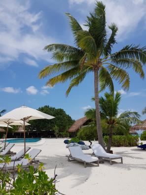 Flitterwochen auf den Malediven Galerie - Entspannen an Pool und Strand ist auf Cocoa Island kein Problem