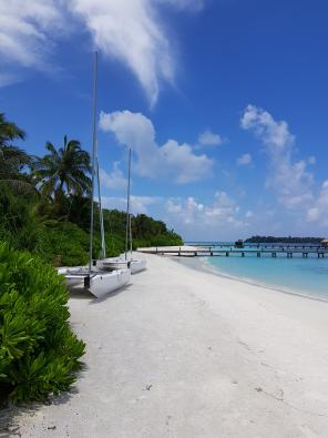 Flitterwochen auf den Malediven Galerie - Katamarane sind auf COMO Cocoa Island gratis ausleihbar wenn man segeln kann