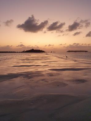 Flitterwochen auf den Malediven Galerie - Sonnenuntergang von der Sandbank mit Blick auf COMO Cocoa Island