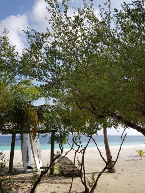 Flitterwochen auf den Malediven Galerie - Wer surfen kann, ist auf Cocoa Island nicht falsch