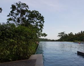 Flitterwochen auf Bali Galerie - Alila Ubud - Infinity Pool