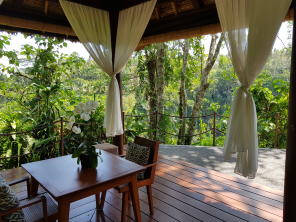 Flitterwochen auf Bali Galerie - Alila Ubud - Ein Platz ganz nahe am Dschungel
