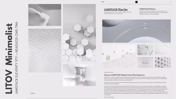 LITOV Minimalist website themes template