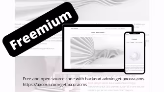 Clasic and Clean Website themes template