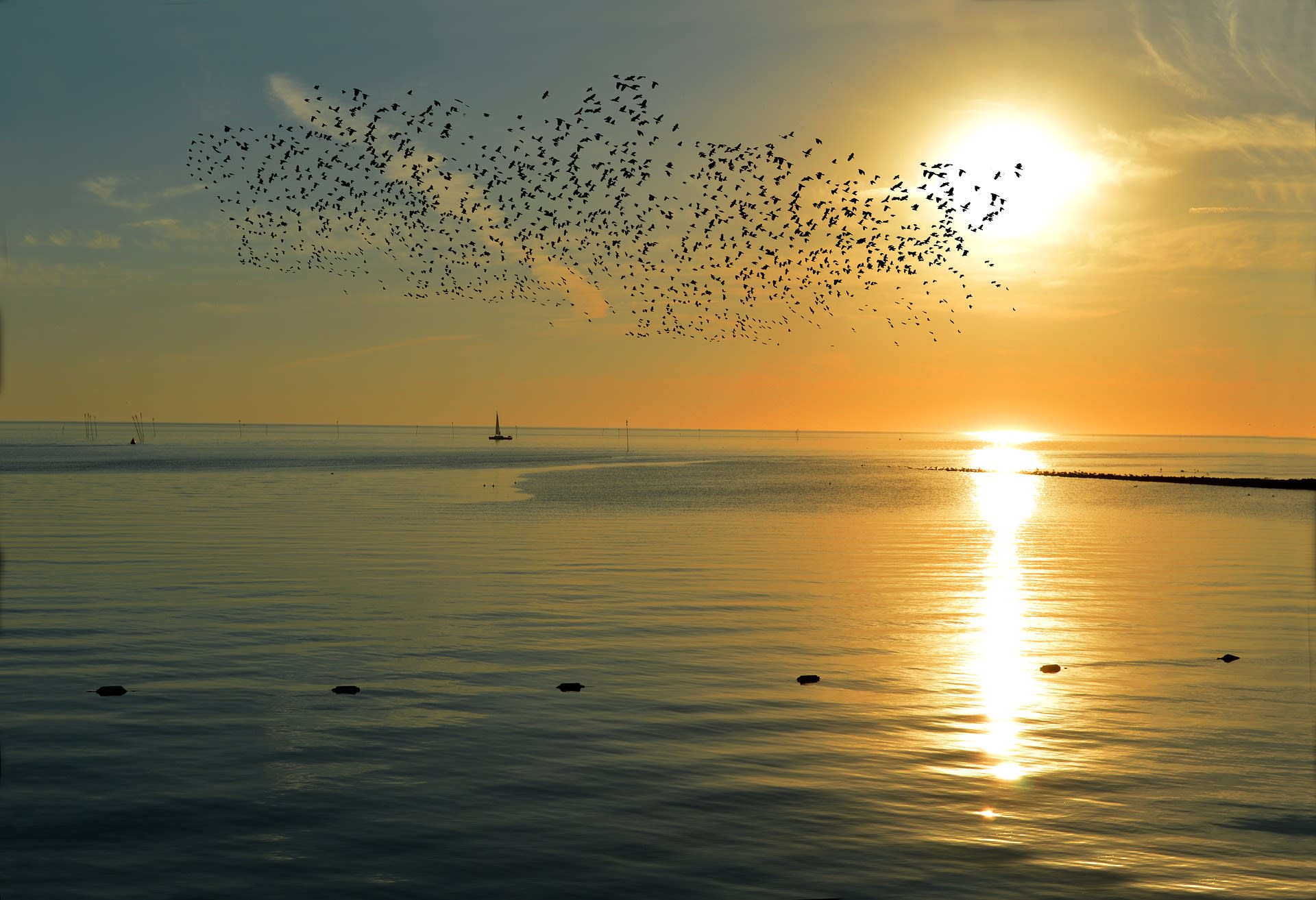TUI erwartet starken Sommer im Inland und in den Nachbarländern