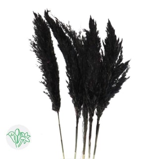 Black Artificial Pampas Grass – Fairmile Co