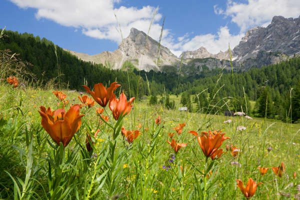 Hotel Bolivar,Lido di Jesolo