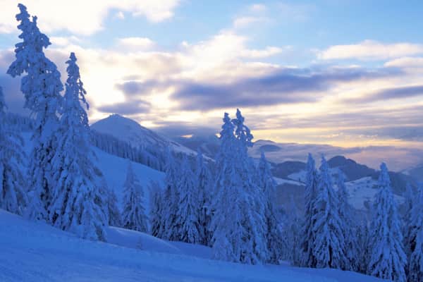 Pension Molnar,Söll