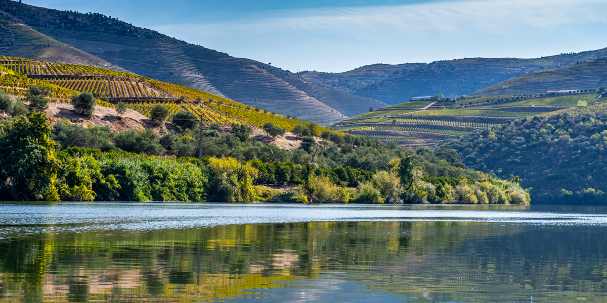 Full-day excursion to the Douro Valley with river cruise