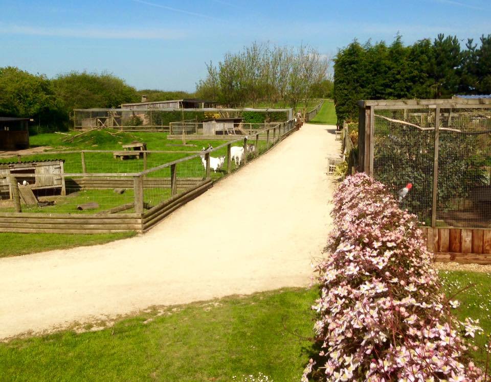 Filey Bird Garden and Animal Park, Filey, Scarborough - HolidayFox Filey Bird Garden and Animal Park, Filey, Scarborough - HolidayFox