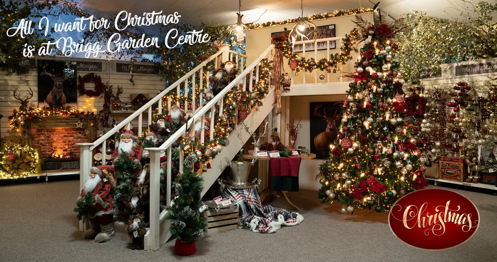 Brigg Garden Centre Christmas Trees Fasci Garden