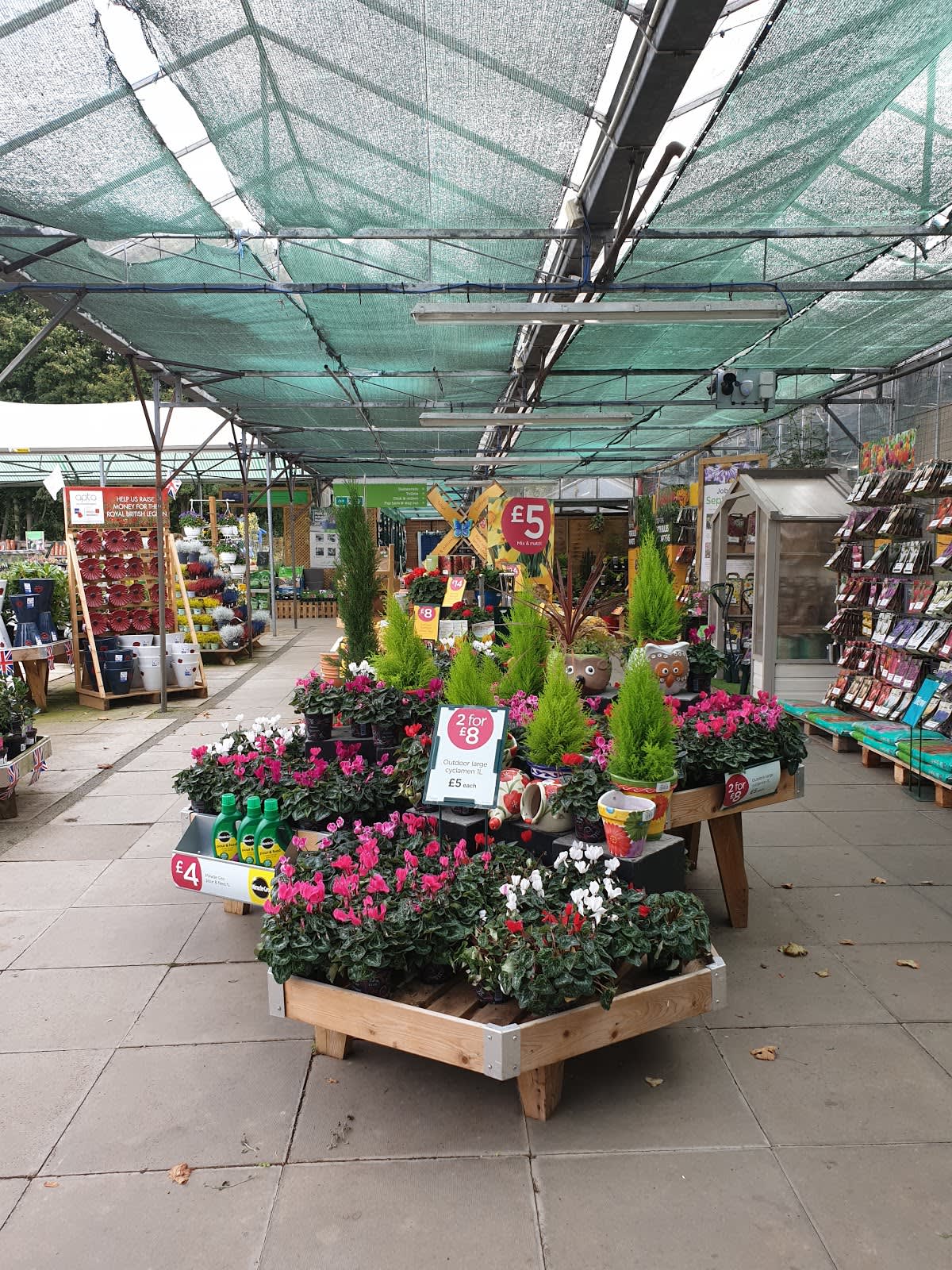 Garden Centre Near Lister Hospital Stevenage Fasci Garden