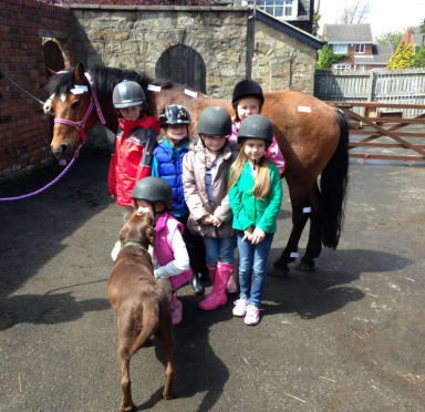 Farm Activities