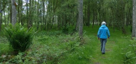 Drumshademuir Caravan Park