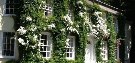 Rose in Vale Country House Hotel