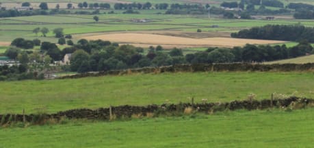 High Lea Farm Camping