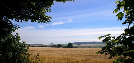 Newton Farm Holidays