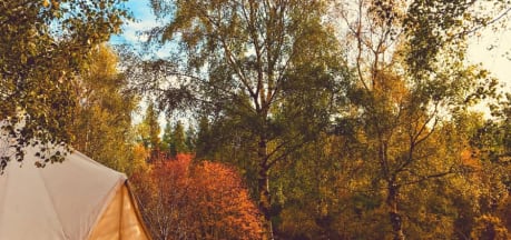 Ace Adventures and Hideaways