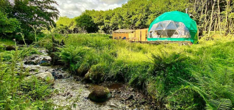 Dartmoor Domes