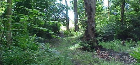 Doonbank Bothy