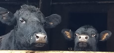 Rocombe Valley Retreat